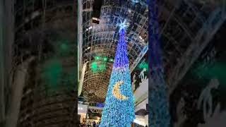 Canada's 114ft Christmas Tree Light and Music Show.... ❤️❤️❤️ Probaser Thikanay