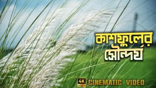 Kashful Chinematic Video | কাশফুলের সৌন্দর্য | 4k 60 fps Video | Rasel Nur