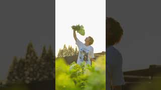 夕陽下的花友會，圓錐繡球切花自由