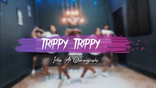 Trippy Trippy | Dance Video | Bhoomi | Sunny Leone | Choreography Irfan Ali