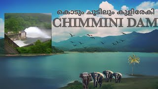 CHIMMINI DAM. \