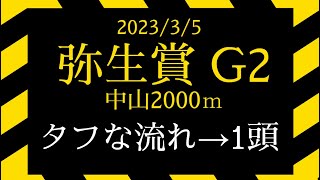 2023 弥生賞G2　軸ウマサガシ