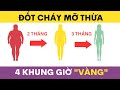 4 KHUNG GIỜ ‘VÀNG’ để đốt cháy mỡ thừa hiệu quả: Giảm cân hiệu quả - nhanh chóng | Đỗ Trọng Linh