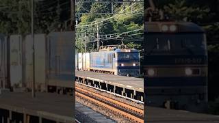 (20240916)滋賀　近江塩津駅　貨物列車 #shorts