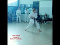 Heian Godan - Shotokan Karate Kata - Training and Development - Usu 🥋