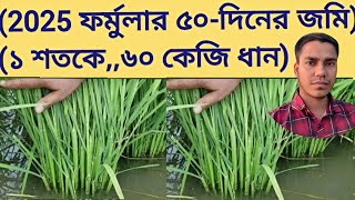 2025 ফর্মুলার ৫০-দিনের জমি দেখুন। (১-শতকে ৬০-কেজি ধানের 2026-ফর্মুলা) (সব-জাতের ধান চাষ করবেন)