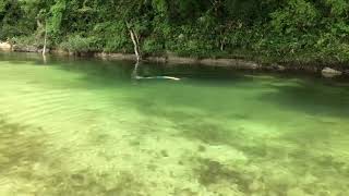 【上村川】岐阜県の浅瀬ポイントで川遊び