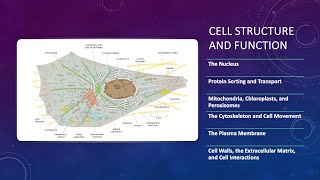 Cell Structute and Function; The Nuclear Envelope and Traffic between the Nucleus and the Cytoplasm