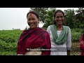 empowering women farmers in dadeldhura