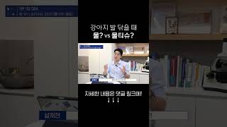 강아지 산책 후 발은 물로? 물티슈로? #shorts