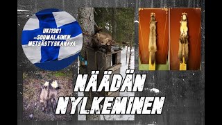 Näädän nylkeminen.