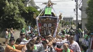 平成28年　茅ヶ崎＜下寺尾・諏訪神社＞例大祭　神輿渡御（レディース）