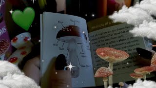 opening a mushroom magnet, poster & sticker set | asmr