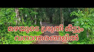 പ്രകൃതിയിലേക്ക് ഒരു യാത്ര-Part 2 #NatureWalk #Nature #Walk #Monsoon