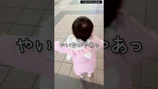 娘の成長記録 1歳9ヶ月 #階段を上れる #赤ちゃん #shorts #baby