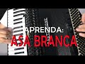 Música mais fácil na sanfona - Asa Branca