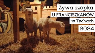 XXIII Żywa Szopka u Franciszkanów w Tychach (2024)