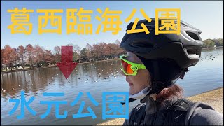 【アラフォー女子初心者🦉ロードバイクでサイクリング🚲ゆるポタ編】【江戸川サイクリングロード】葛西臨海公園⇒都立水元公園