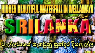 Hidden Beautiful Waterfall In Wellawaya SRILANKA🏊 | වැල්ලවායේ සැගවුණු සුන්දර දියඇල්ල😍 | #SHANIxLK