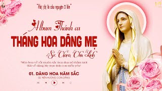 Album Thánh Ca Tháng Hoa Dâng Mẹ - Sr. Clara Chu Linh | Mùa Hoa Về Rồi Muôn Sắc Hoa Đua Nở Thắm Tươi