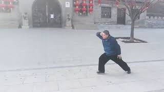 形意拳-十二形-鸡形 Xing Yi Quan 12 animals rooster