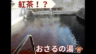 【温泉 大分♨】おさるの湯 in 由布｜山中に紅茶のようなお湯！？ 【九州温泉道】