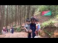 വാഗമണിൽ ഇതൊന്നും കാണാതെ പോകരുതേ..💚 lady nomad vagamon tourist places best experience travel