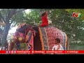 ఏనుగుపై నుంచి జారిపడ్డ రాందేవ్ బాబా ramdev baba fall from elephant while performing yoga ntv