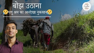 😥बोझ उठाना : पशु श्रम का अनदेखा नुकसान😥 | The Unseen Harm of Animal Labor |