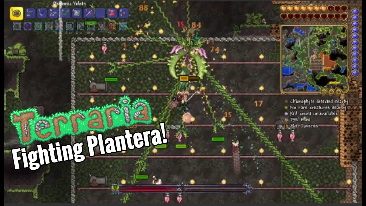 Can I Beat Plantera? Terraria (#12) - YouTube