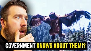 HUGE Government COVERUP At Mount Rainier National Park