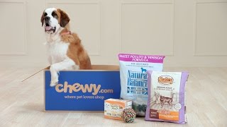 Prices You'll Love | Chewy