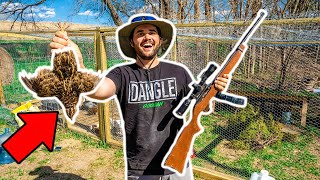 Backyard Farm QUAIL Catch Clean Cook!!!