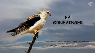 På ørnevinger