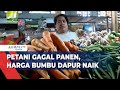 Petani Gagal Panen, Harga Sayuran dan Bumbu Dapur Naik