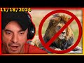 dan beats the lion and goes a level a day