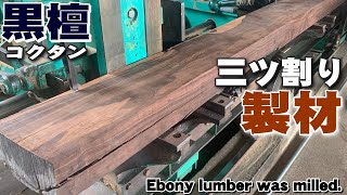 【黒檀製材】硬いコクタンを挽き直し【木の店さんもく】Lumbering ebony again