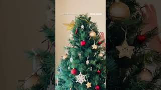 Family finds snake inside their Christmas tree