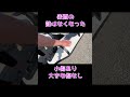 amazon格安ゴムボート　 shorts