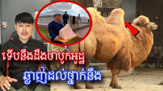 មកស្គាល់ជាមួយបូកអូដ្ឋដែលគេនិយមញាំនៅមុងហ្គោលី l  Mr.Veasna