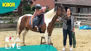 Jess beim Mustang Makeover, Tag 2 | KiKA LIVE | Mehr auf KiKA.de