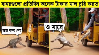 ভুল প্রাণীর সাথে গণ্ডগোল করার কি বাজে ফল হয় দেখুন😂। Messed with wrong enemy । Animals vs Animals