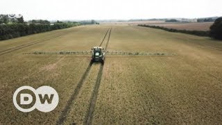 Brexit: UK farmers have mixed emotions | DW English