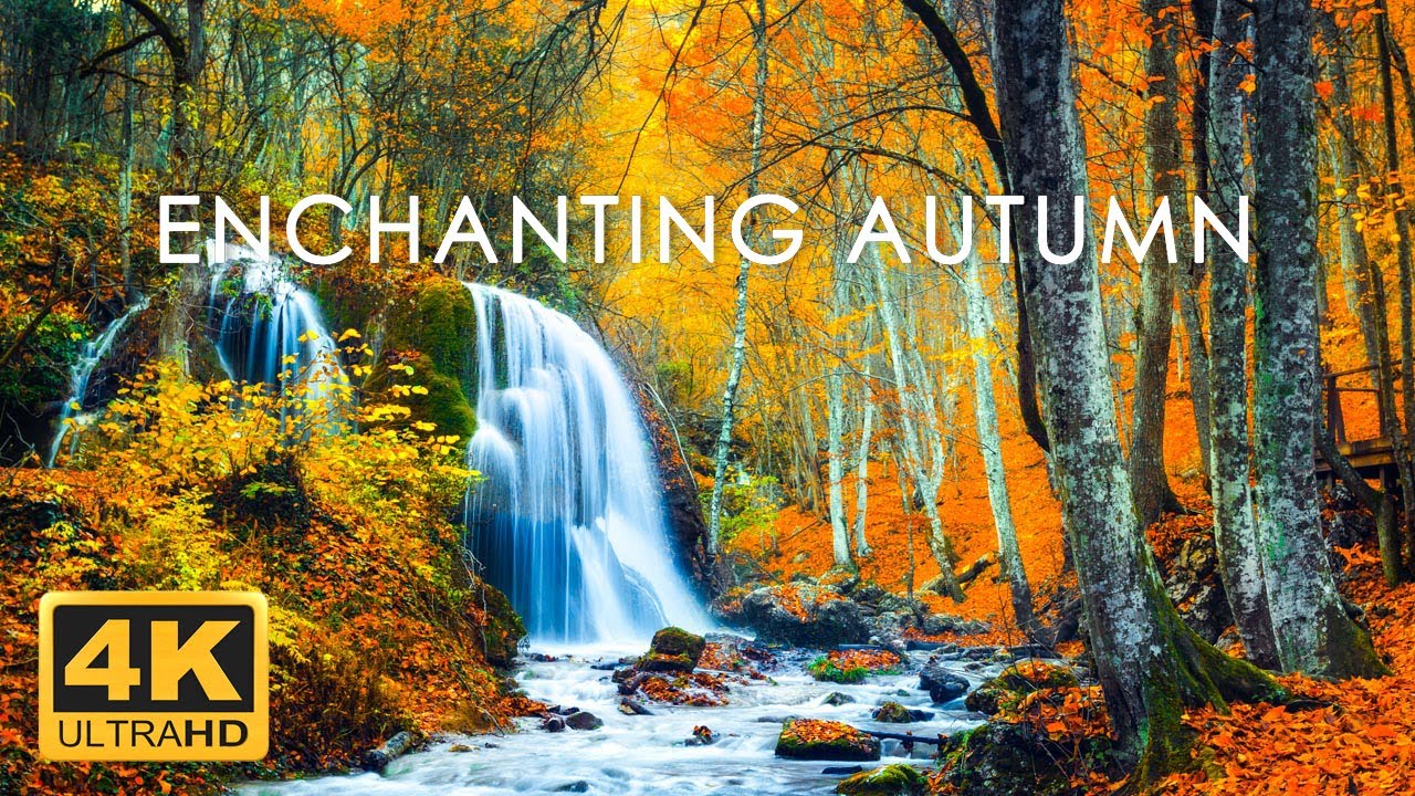11 Hrs Incredible Fall Foliage Best 4k Autumn Nature Scenes From