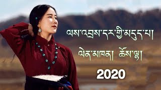 NEW TIBETAN SONG 2020 BY CHOELHA ལས་འབྲས་དར་གྱི་མདུད་པ།