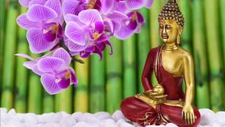 15 Min. Meditation Music for Relaxation, Concentration Music, Focus & Relax Mind Body