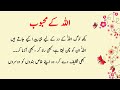 Allah Ke Mehboob Bande| Aqwal e zareen in urdu | aqwal e zareen hazrat | Best Quote in Urdu |#shorts