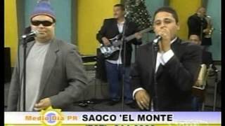 SAOCO DEL MONTE- EL ARBOL ROTO