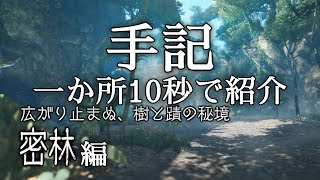 【MHR:SB】忙しい人の為の「密林の手記」完全攻略