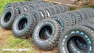 2021 Maxxis Bighorn 764 RWL